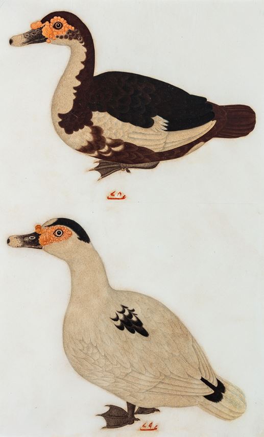 Company School Painting of Two Ducks | MasterArt